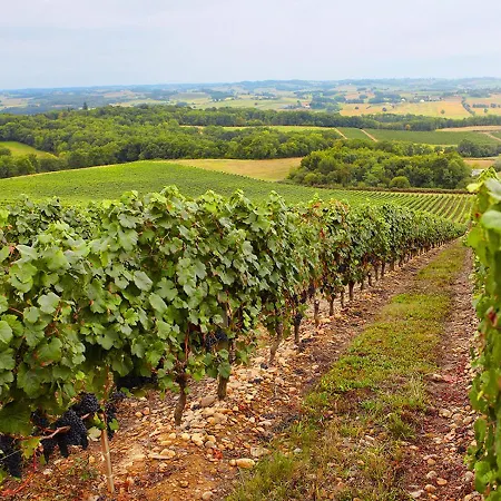 Feriehus Gites La Ferme Et La Bergerie De Monseignon