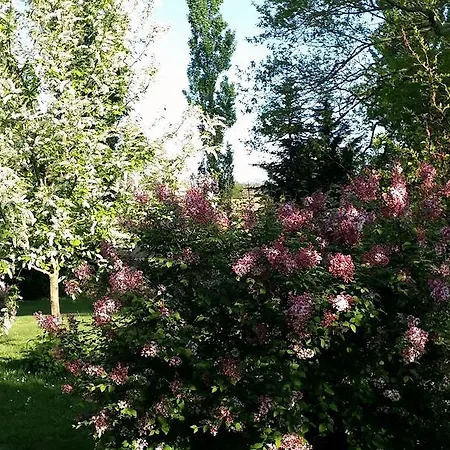 Feriehus Gites La Ferme Et La Bergerie De Monseignon *